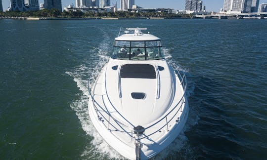 Experience the City of Sun from our boat! Book the Searay Sundancer 540 Yacht 