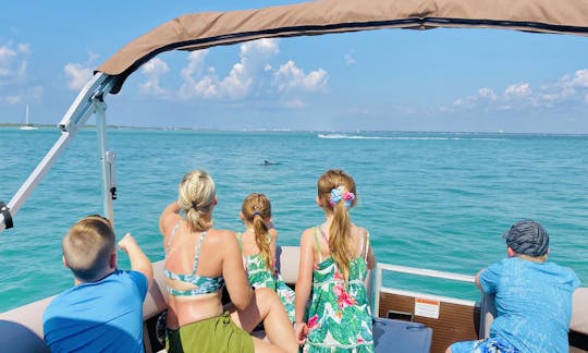 We can also spend a majority of our time watching the local dolphins.