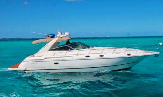 46 FT - YACHT CRUISER - LRY - UP TO 15 PAX CANCUN, MEXICO