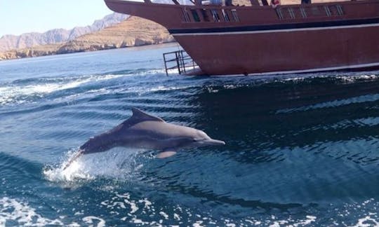 Amazing Half Day Dhow Cruise to the Fjords of Musandam