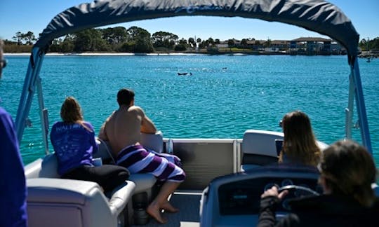 Private Chartered Pontoon Boat- Up to 6 Passengers