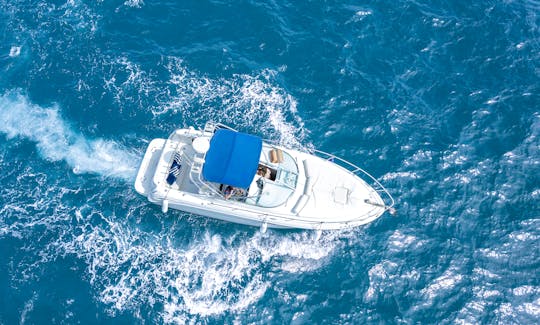 Sea Ray Amberjack 290 Yacht Rental in Marbella, Spain