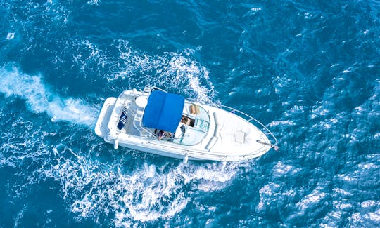 Sea Ray Amberjack 290 Yacht rental in Marbella, Spain