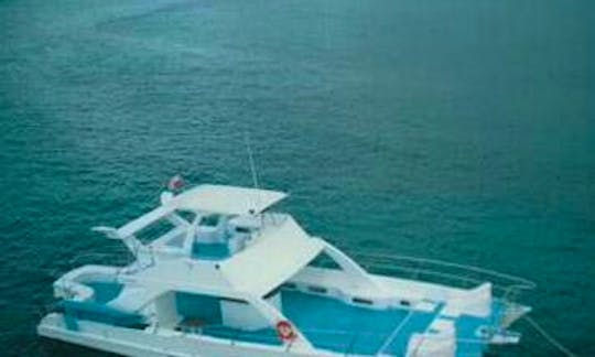 Private Catamaran Deluxe Big and Small Groups