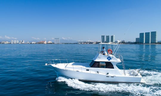 Convertible 42' Fishing Boat In Puerto Vallarta, Mexico