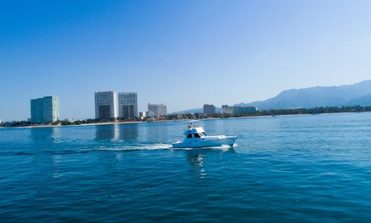 Convertible 42' Fishing Boat In Puerto Vallarta, Mexico