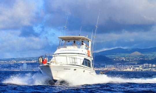 Fishing Charter on Hi-Star 42 Fishing Yacht in Ponta, Portugal