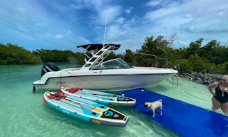 Newer boat with Captain, Sandbars, Snorkeling on a 24ft Vantage from Boston Whaler