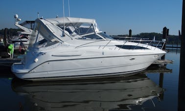 Yacht à moteur Bayliner de 32 pieds en croisière dans la baie d'Emerald, ☀️ DEMANDEZ L'OFFRE SPÉCIALE DU MOIS DE JUIN ☀️