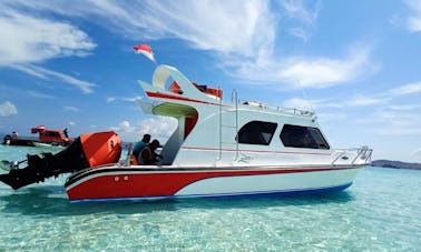 Croisière à Komodo - Excursion d'une journée