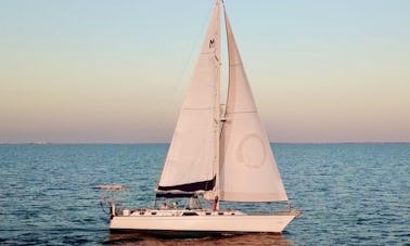 Croisières d'une journée et croisières au coucher du soleil - Centre-ville de Saint-Pétersbourg, Floride - Yacht de 44 pieds