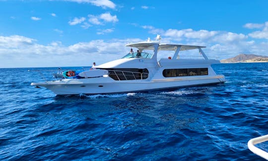 Luxury 74ft Party Yacht For Groups of 5-45 in Cabo San Lucas