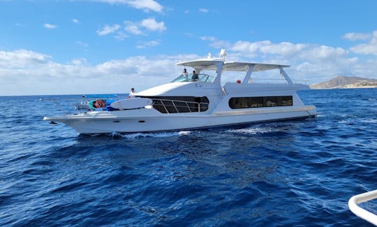 Perfeito para recepções e festas de luxo de 70 a 5 a 50 convidados em Cabo San Lucas