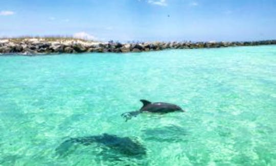 Go to Crab Island / Up to 7 People / Cruise the Gulf of Mexico Shoreline / Watch the Dolphins - Sea Hunt 210