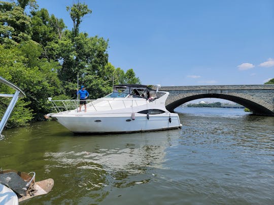 Monumental Cruiser | Iate privado de luxo Carver de 37 pés para 12 passageiros