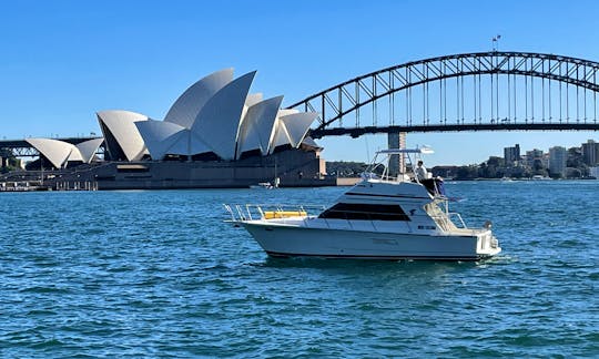 Sydney Harbour private charter aboard 36ft Dominator flybridge cruiser
