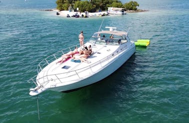 Best Experience in Miami!!! 55' Sea Ray Sundancer Motor Yacht