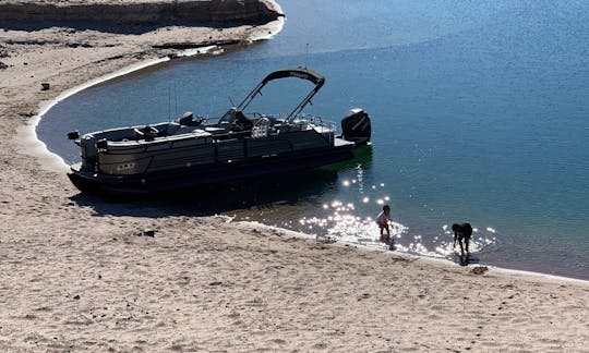 Laughlin: Pontão de luxo Regency Sport de 25 pés para alugar GB01