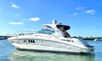 42ft Sea Ray Motor Yacht in Aventura, Florida!