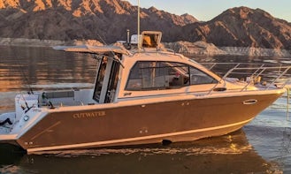 Needles: New Luxury 31ft Cutwater Cruiser for Charter GB02