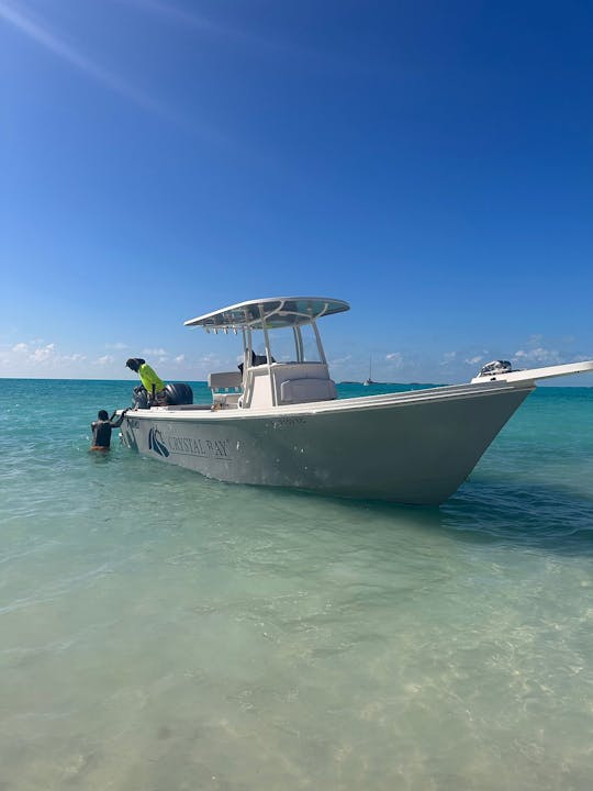 Recorridos en barco por Crystal Bay: DÍA COMPLETO (8 horas)