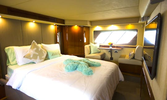 Luxury Yachting Experience! 60' SeaRay (2) in Fort Lauderdale, Florida