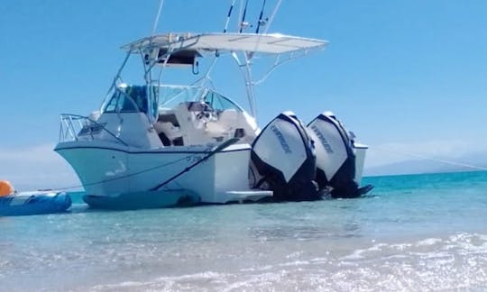 Well Craft 31-  Fast    Boat to Balandra Beach & Isla Espíritu Santo