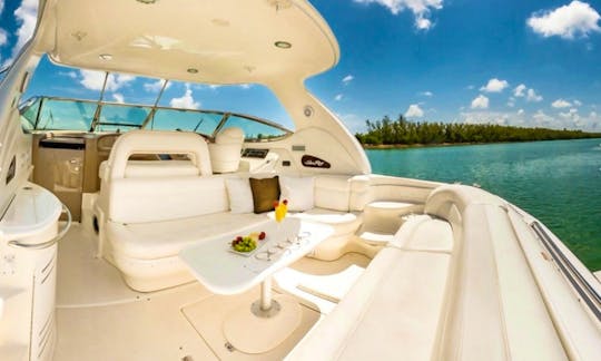 Beautiful 55Ft SeaRay Sundancer Luxury Yacht for Charter in Miami
