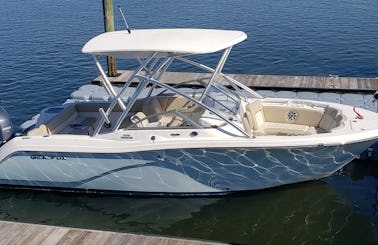 Comfortable boat for family & socializing , Sights, beaches & Shark Teeth