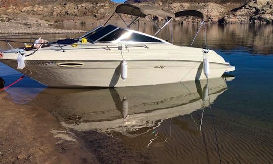 23' Sea Ray Express Cruiser for Charter in Lake Mead