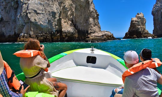 Navigate and Snorkel the sea of Cortez in Cabo with our 26ft Panga Boat