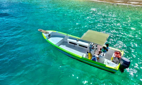 Navigate and Snorkel the sea of Cortez in Cabo with our 26ft Panga Boat