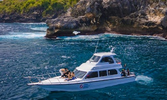 Snorkeling with Manta Rays in Bali from the Flybridge Boat. Price per person for sharing boat.