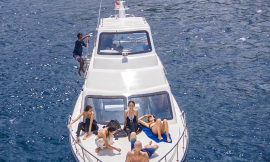 Cruising, Snorkeling and Scuba Diving with Manta Rays in Bali from the Flybridge Boat. Starting price for the boat charter.