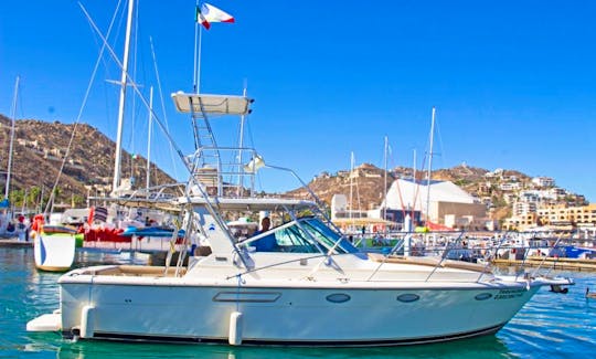 Tiara 36ft Fishing Boat in Cabo San Lucas!!