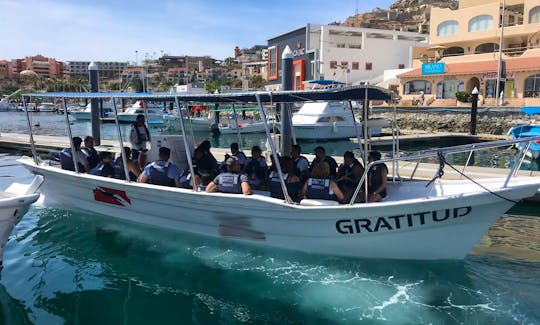 32' Boat Tour with Snorkling to Arch of Cabo San Lucas!!