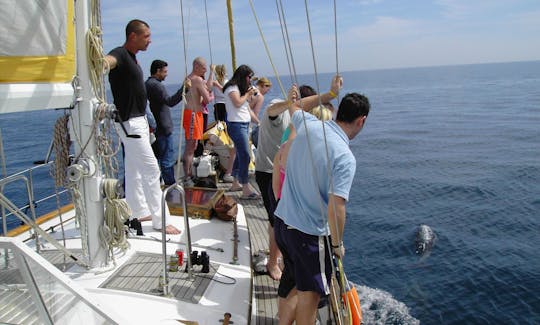 Alquiler del yate de vela Blue Water Vagabond 42 en Benalmádena, España