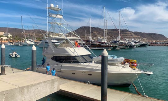 Pure Powerful Pleasure- 50 Feet of Luxury to Cruise the Sea of La Paz