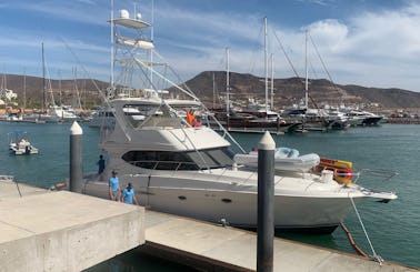 Pure Powerful Pleasure - 50ft of Luxury to Cruise the Sea of La Paz