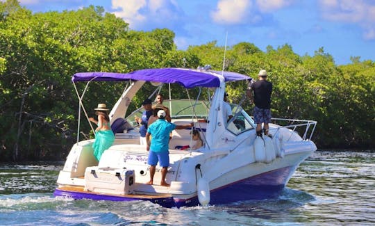 34 pies. Yate Sea Ray para 10 personas en Cancún, Quintana Roo. ¡Motos acuáticas incluidas!