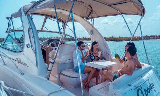 An amazing Sundancer 33ft Yacht Boat for small groups from Tulum