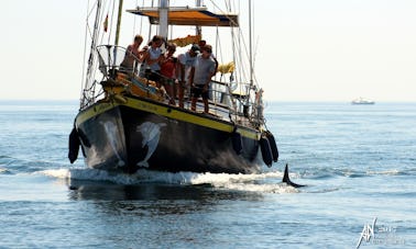 Blue Water Vagabond 42 Sailing Yacht Rental in Benalmádena, Spain