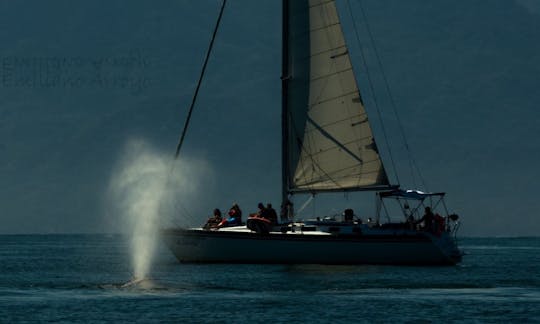 Discover The Bay on a Sailboat Hunter 40 in Puerto Vallarta