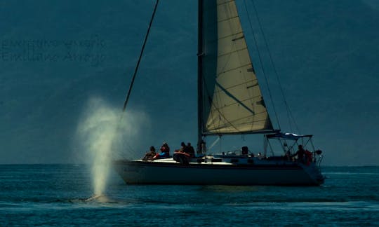 Discover The Bay on a Sailboat Hunter 40 in Puerto Vallarta