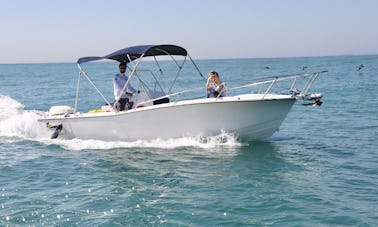 Cheap SpeedBoat Tour in Rio de Janeiro, Brazil