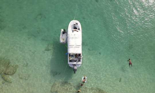 Barco de passeio privado para 6 pessoas em Fajardo