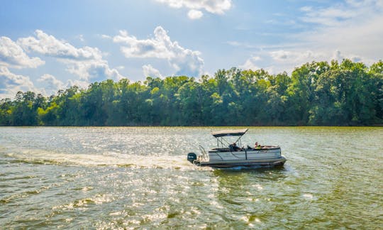 20ft Veranda Pontoon #2 for rent on Lake Wylie: 115hp w/Ski tow bar (GAS IS INCLUDED!)