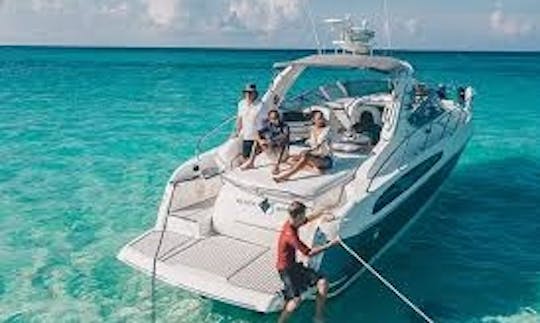 Alquiler del yate a motor Cranchi 41 en Varna, Bulgaria