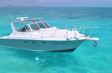 Luxury 42ft Sea Ray Motor Yacht Charter for up to 8 people in Cancun