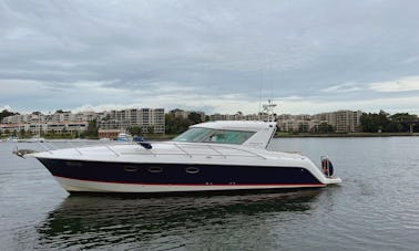 Cruzeiro privado de luxo em Sydney a bordo do Inception Sports Cruiser de 36 pés para 12 pessoas!